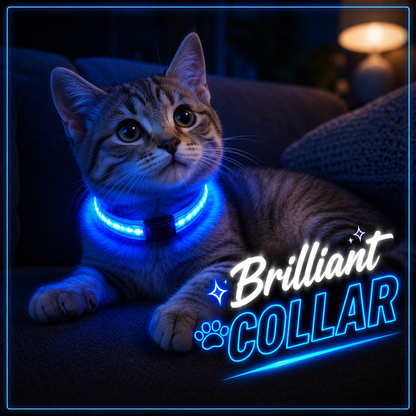 Brilliant Collar - Coleira Iluminada - Ache seu pet no escuro!
