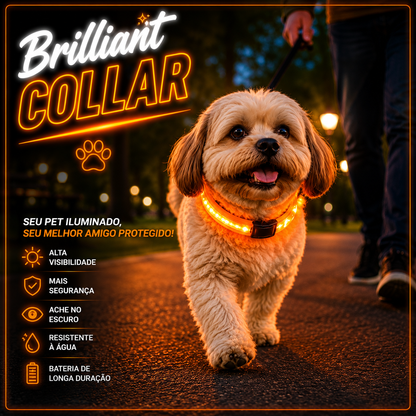 Brilliant Collar - Coleira Iluminada - Ache seu pet no escuro!